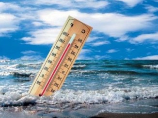 «Морська спека» - наслідок глобального потепління