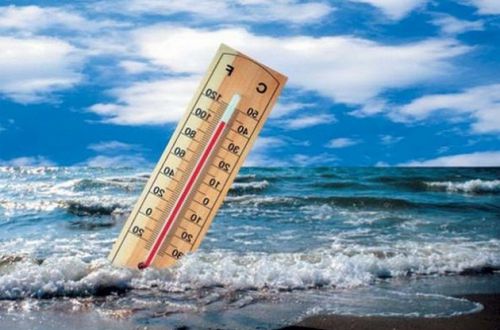 «Морська спека» - наслідок глобального потепління