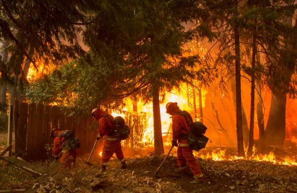 Австралійські лісові пожежі наблизилися до Сіднею