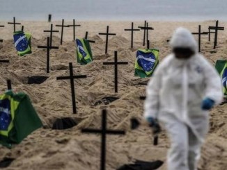 Приблизно 7000 випадків смерті від COVID-19 в Бразилії спостерігається за кожну з останніх семи тижнів